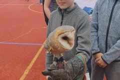 441378206_407403255527322_2659434435714388739_n