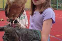 441823892_345896521511091_8167724819733441411_n