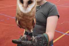 441900979_1932446417190725_1481025805955799373_n