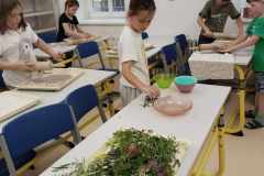 442459294_7698508946905335_4457926547098210159_n