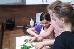 487843289_1598265440887139_4103402928887686161_n