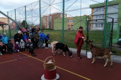 IMG_20191119_133908
