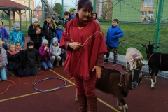 IMG_20191119_134522