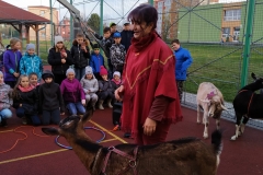 IMG_20191119_134524