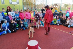 IMG_20191119_134656