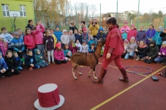 IMG_20191119_134751