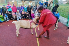IMG_20191119_134850