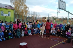 IMG_20191119_135020