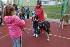 IMG_20191119_140223