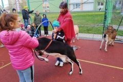 IMG_20191119_140227