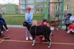 IMG_20191119_140831