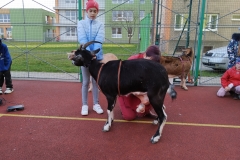 IMG_20191119_140850