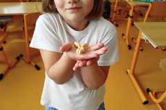 494329337_691437383644261_1587214569204848082_n