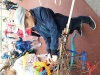 20190502_141952