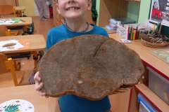 554424086_1351145549735673_5134050534273192745_n