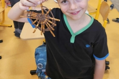 566306224_1351822845786022_616400613171394406_n