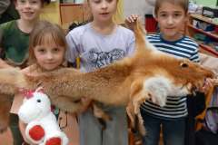 566524100_2255402828309121_5135431244759880382_n