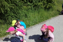 IMG_20210601_092944