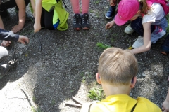 IMG_20210601_101008