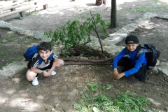 IMG_20210601_105142
