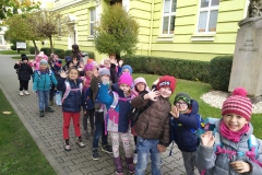 IMG_20231121_084413