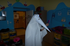DSCN6653