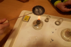 DSCN6676