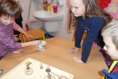DSCN6678
