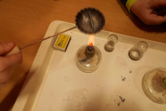 DSCN6676