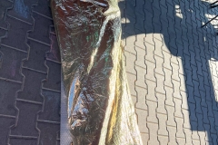 FB_IMG_1757835670798