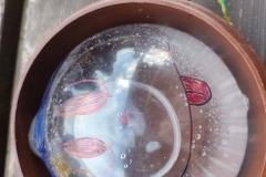 FB_IMG_1757835737953