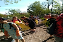 IMG_20190426_093150