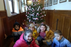 IMG_20191204_090920