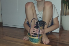 Míšovo velikonoční překvapení
