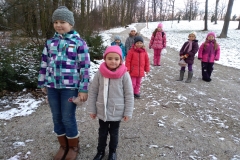 IMG_20181217_093750