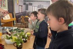 zazitkyprvnakuvdubnu2025-66