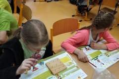 IMG_20190411_082038