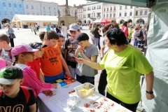 IMG_20190426_101031