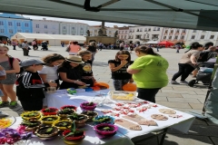 IMG_20190426_102834