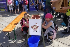 IMG_20190426_094919