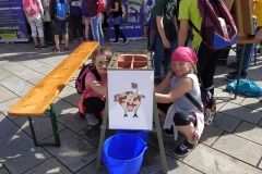 IMG_20190426_094921