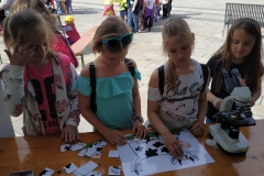 IMG_20190426_100127