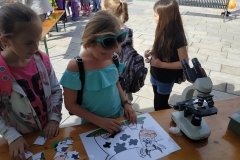 IMG_20190426_100145