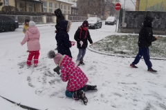 IMG_20201210_103321