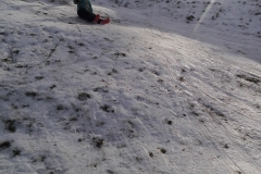 IMG_20210120_095959