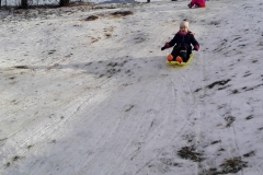 IMG_20210120_100539