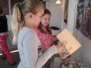 IMG_9275 (640x480)