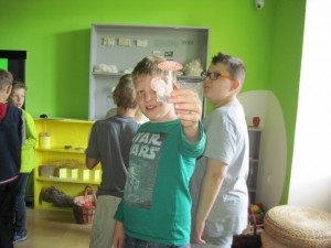 IMG_9281 (640x480)