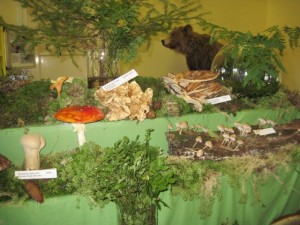 IMG_9292 (640x480)