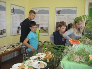 IMG_9297 (640x480)